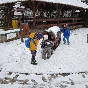 Svišti v ZOO Vyškov